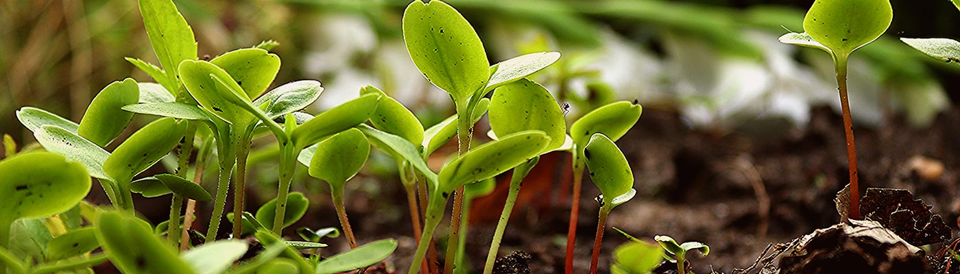 festival-permaculture.fr